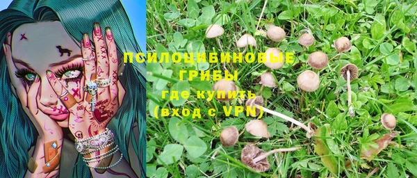 МДПВ Алзамай
