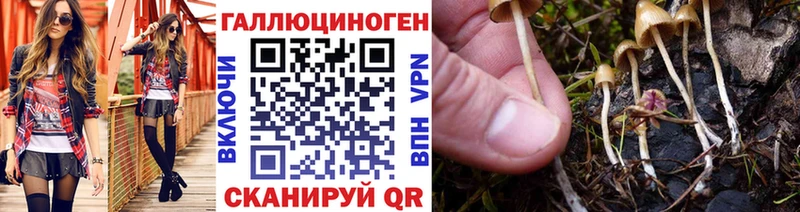 Псилоцибиновые грибы GOLDEN TEACHER  где продают наркотики  Усть-Илимск 
