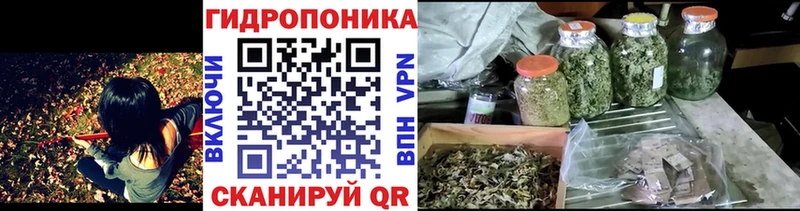 ОМГ ОМГ ONION  Усть-Илимск  Шишки марихуана AK-47 